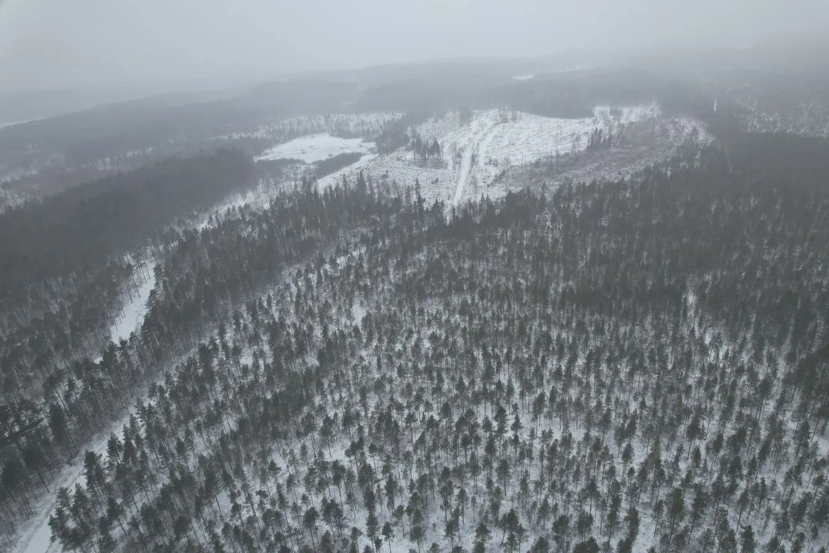 Hallanvahdin aurinkopuisto